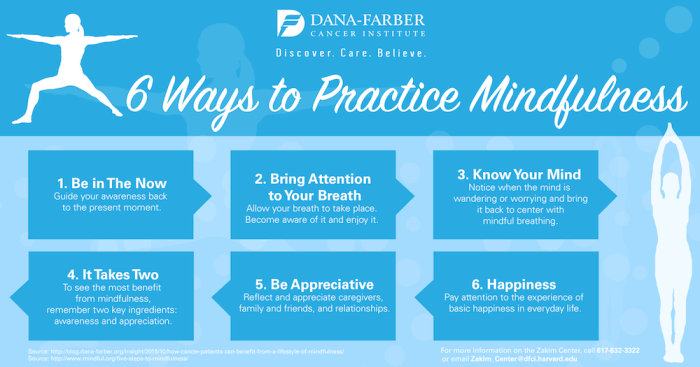 Mindfulness practice ways infographic can insight learn cancer dana farber integrative therapies leonard like 6 Mindfulness Practices to Enhance Your Meditation Skills
